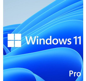 windows_11_pro_64bits.jpeg