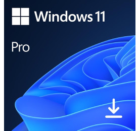 microsoft-windows-11-pro.jpg