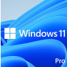 windows_11_pro_64bits.jpeg